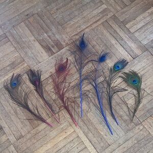 Assorted peacock feathers showgirl feathers burlesque feathers showgirl costume